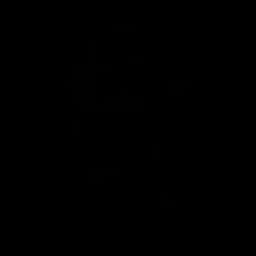 Lunar